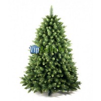 Сосна Молодые побеги